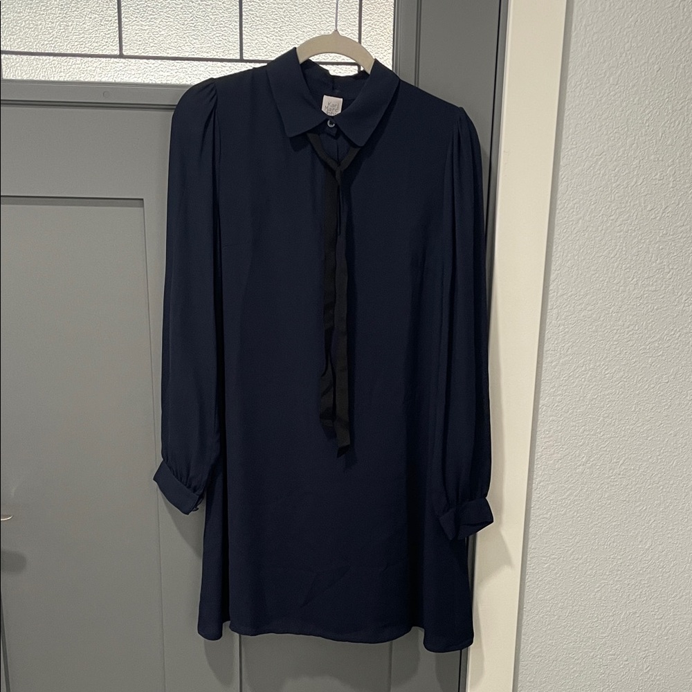 Chic Navy Long Sleeve Dress